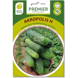 Agurkai AKROPOLIS H (F1), 60 sėklų
