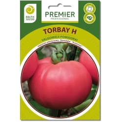Pomidorai TORBAY H (F1), 15 sėklų