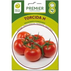 Pomidorai TORCIDA H (F1), 8 sėklos