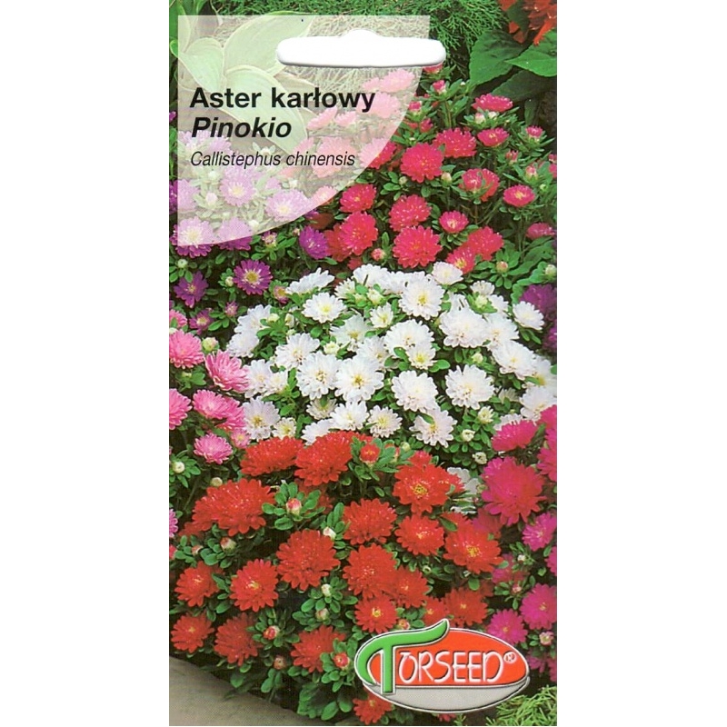 Kininis ratilis ( žemaūgis) Pinocchio  0,3gr