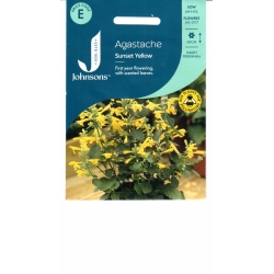 Kinmėtės Sunset yellow  50s