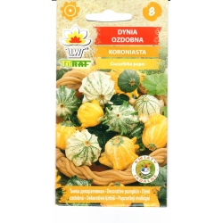 Moliūgai Koroniasta (dekoratyviniai)