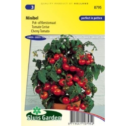 Pomidorai Minibel 0,2gr