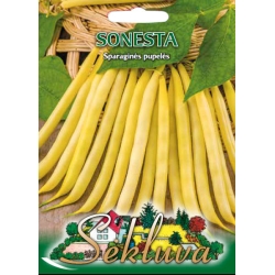 Žemaūgės daržinės pupelės Sonesta  40gr