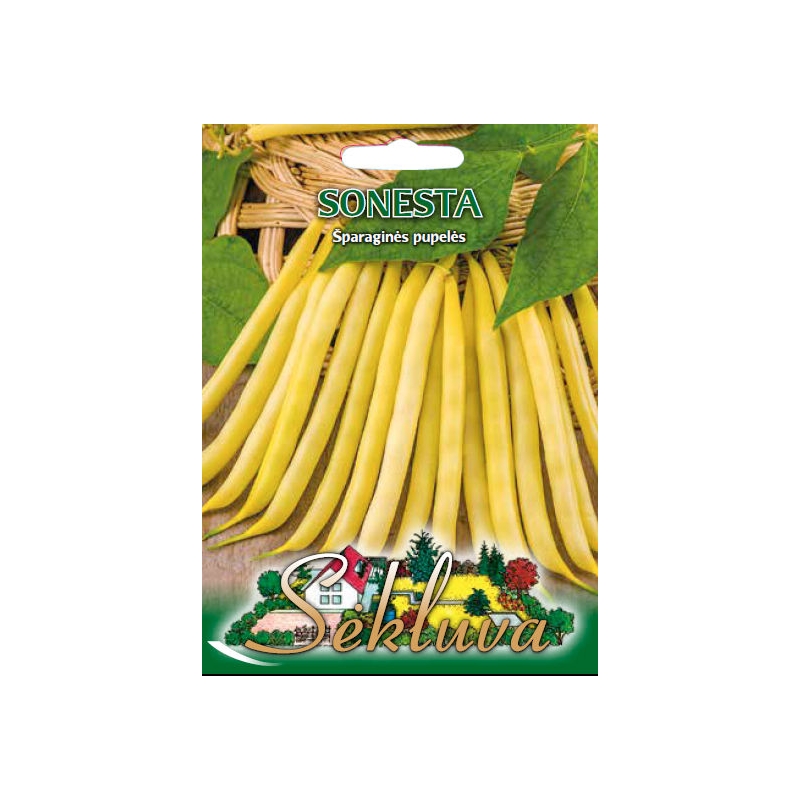 Žemaūgės daržinės pupelės Sonesta  40gr