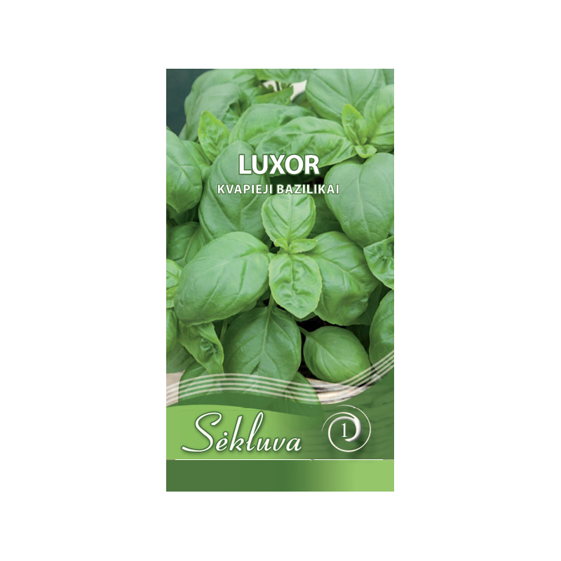 Kvapieji bazilikai Luxor