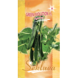 ilgavaisiai agurkai Green Evolution F1  10s