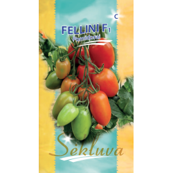Pomidorai Fellini F1   10s