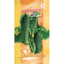 trumpavaisiai agurkai Amerigo F1  20s