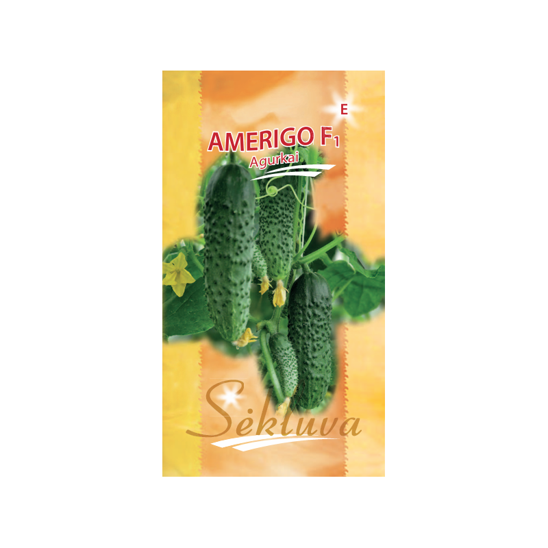 trumpavaisiai agurkai Amerigo F1  20s