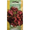 Darželiniai margeniai Colocha Red  20s