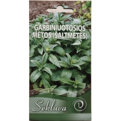 Garbiniuotoji Mėta (Šaltmėtė)