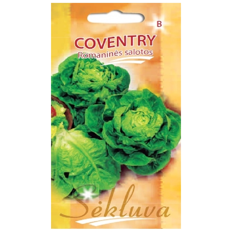 Sėjamosios salotos Coventry 20s. Sėjamosios salotos Coventry 20s.