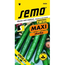 Ilgavaisiai agurkai Orca F1