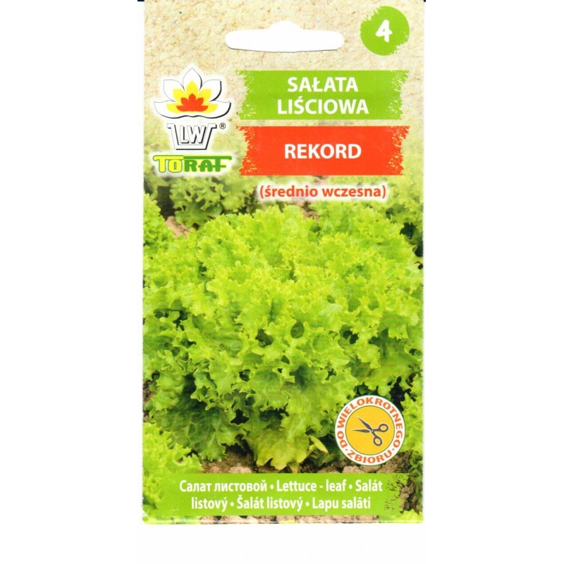 Sėjamosios salotos Rekord