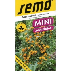 Pomidorai Tumbling Tom Yellow