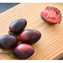 Pomidorai 'Nightshade' F1