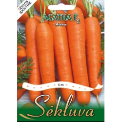 morkos Agatha F1 juostoje