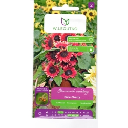 Saulėgrąžos Pixie Cherry