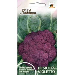 Žiediniai kopūstai Di Sicilia Violetto 0,5gr
