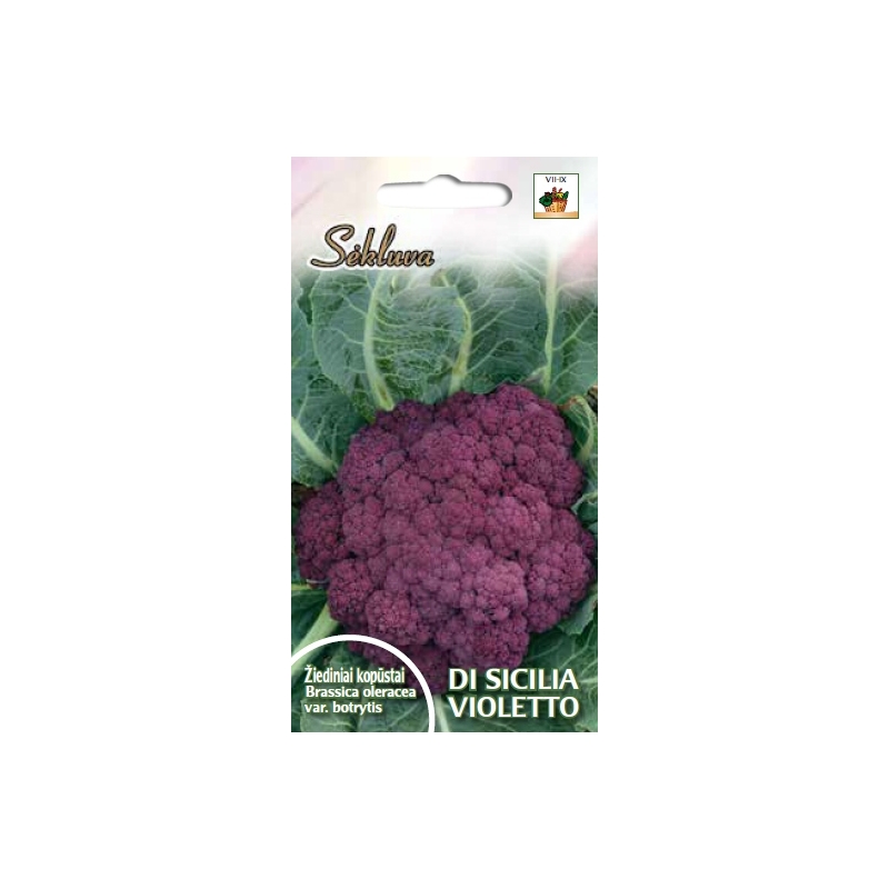 Žiediniai kopūstai Di Sicilia Violetto 0,5gr