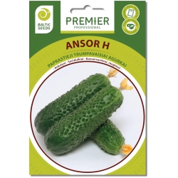 Agurkai Ansor H 20s.