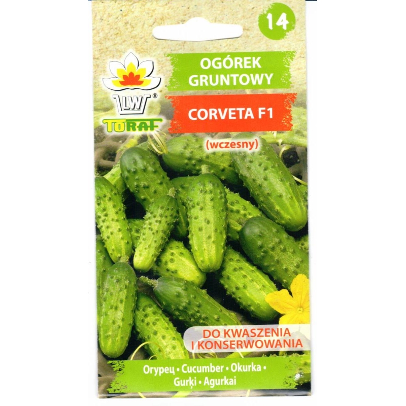 Trumpavaisiai agurkai Corveta F1 3gr