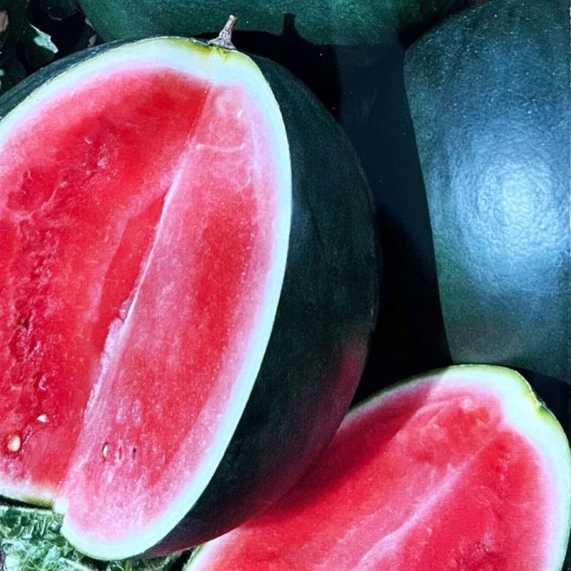 Tikrieji arbūzai Rosario F1 10gr