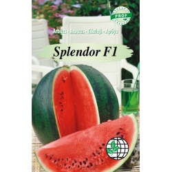 Arbūzas Splendor F1 5s