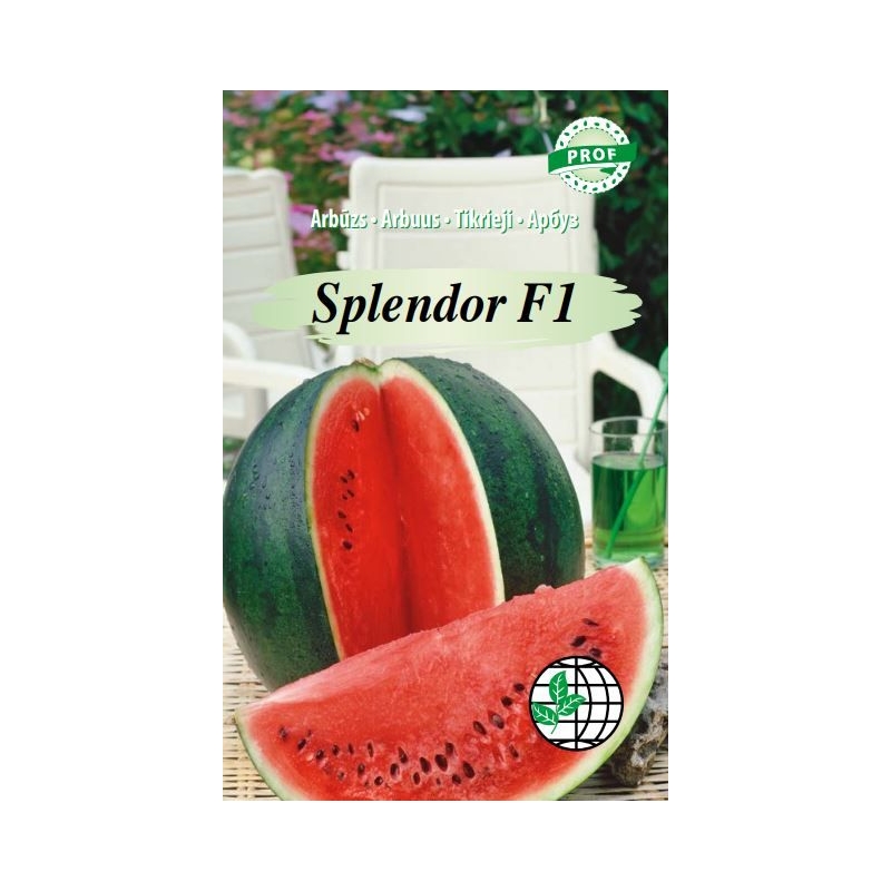 Arbūzas Splendor F1 5s