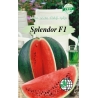 Arbūzas Splendor F1 5s