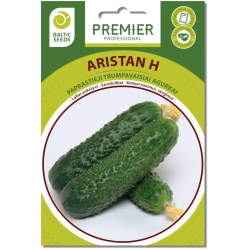 Agurkai ARISTAN H (F1), 20 sėklų
