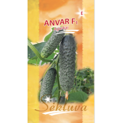 trumpavaisiai agurkai Anvar F1 20s
