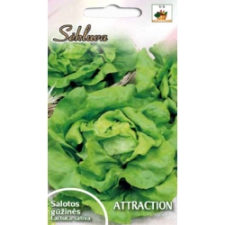 Sėjamosios salotos  Attraction  1g.