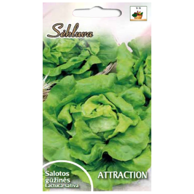 Sėjamosios salotos  Attraction  1g.