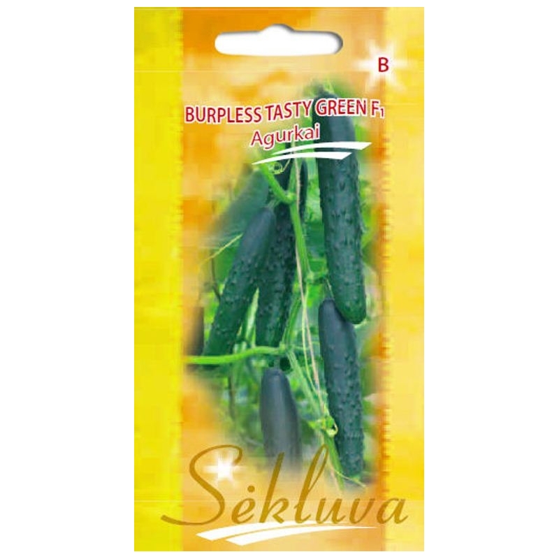 Agurkai ilgavaisiai  Tasty Green F1 10s.