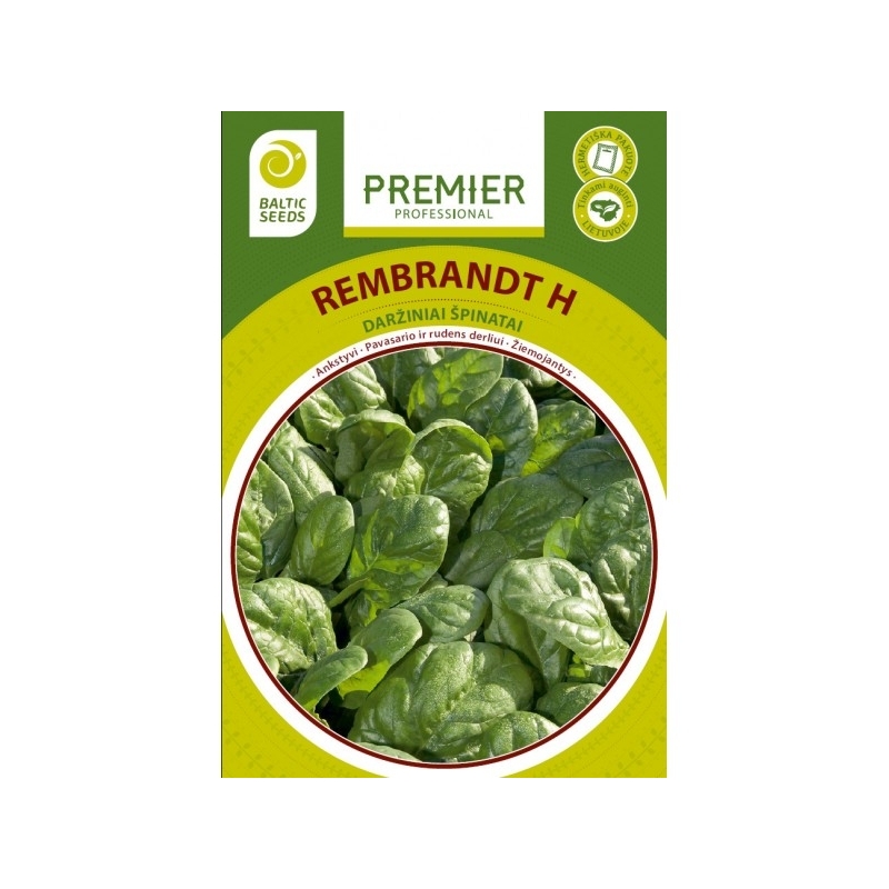 Špinatai Rembrandt H, 300s. Špinatai Rembrandt H, 300s.