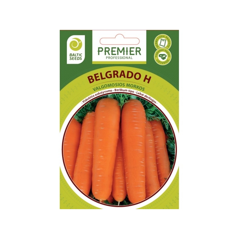 Morkos BELGRADO H, 600 sėklų Morkos BELGRADO H, 600 sėklų