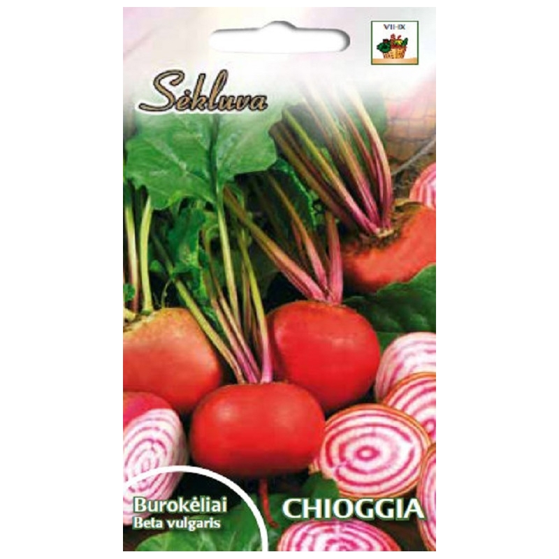 Raudonieji burokėliai Chioggia 5g. Raudonieji burokėliai Chioggia 5g.