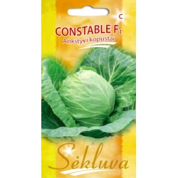 BALTIEJI GŪŽINIAI KOPŪSTAI CONSTABLE F1  40s.