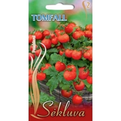 Valgomieji pomidorai Tomfall (balkoniniai) 0.05 gr.