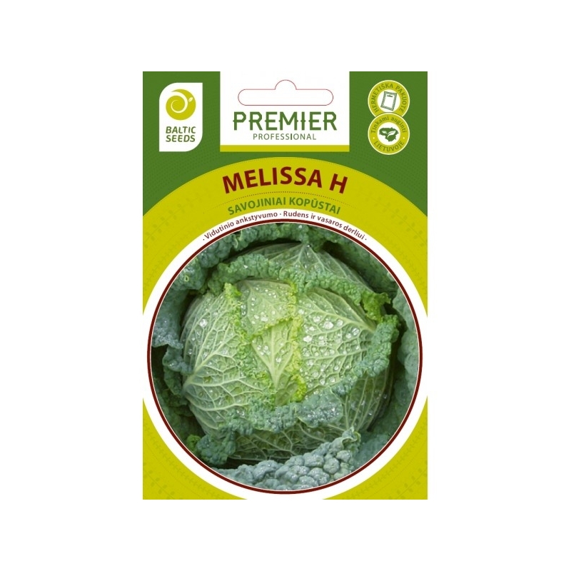 Savojiniai kopūstai MELISSA H, 20 sėklų Savojiniai kopūstai MELISSA H, 20 sėklų