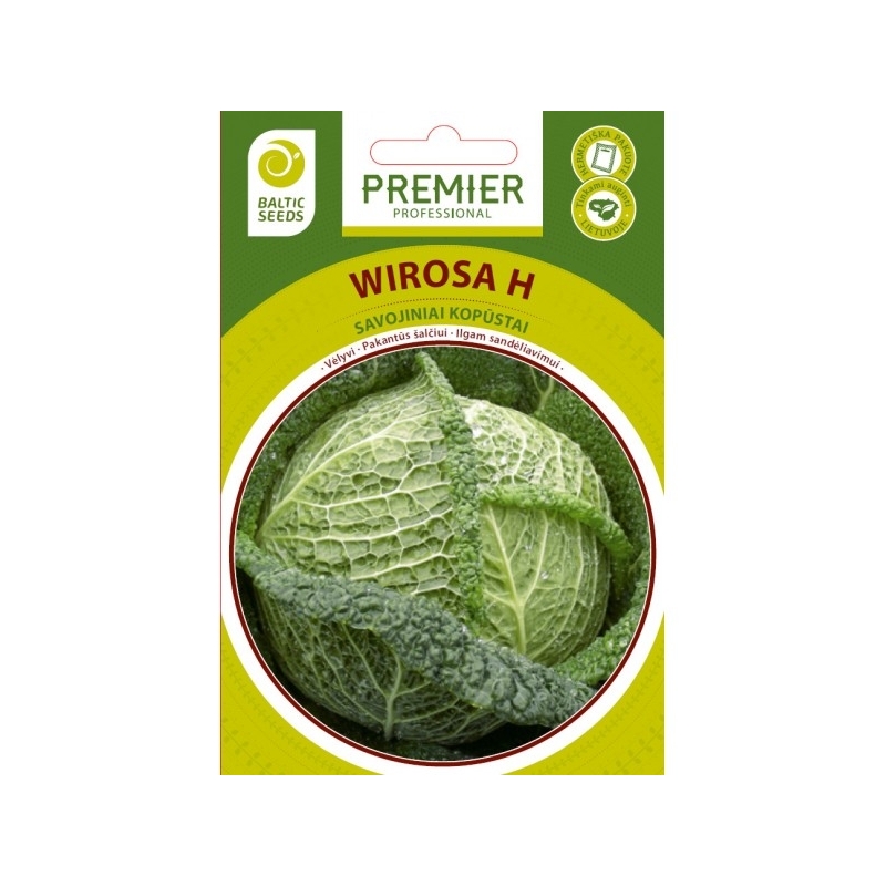 Savojiniai kopūstai WIROSA H, 20 sėklų Savojiniai kopūstai WIROSA H, 20 sėklų