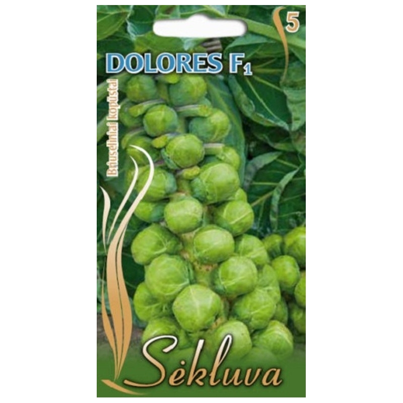 BRIUSELINIAI KOPŪSTAI DOLORES F1  0,5gr.