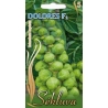 BRIUSELINIAI KOPŪSTAI DOLORES F1  0,5gr.