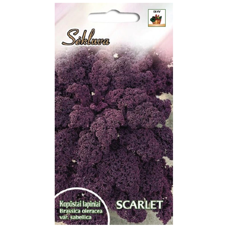 GARBANOTIEJI KOPŪSTAI SCARLET 1gr. GARBANOTIEJI KOPŪSTAI SCARLET 1gr.