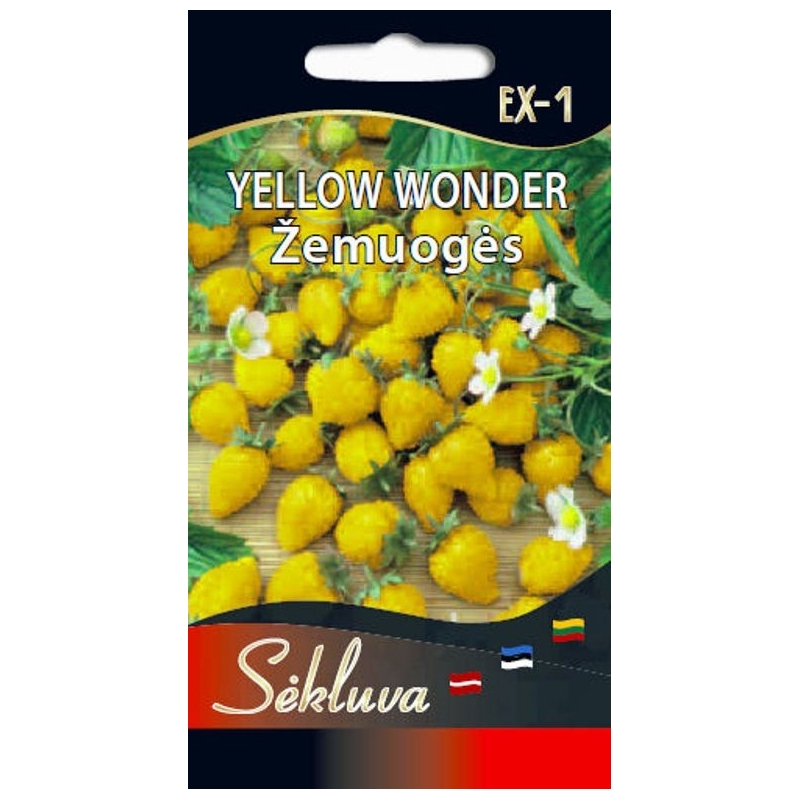 ŽEMUOGĖS YELLOW WONDER 0,1gr. ŽEMUOGĖS YELLOW WONDER 0,1gr.