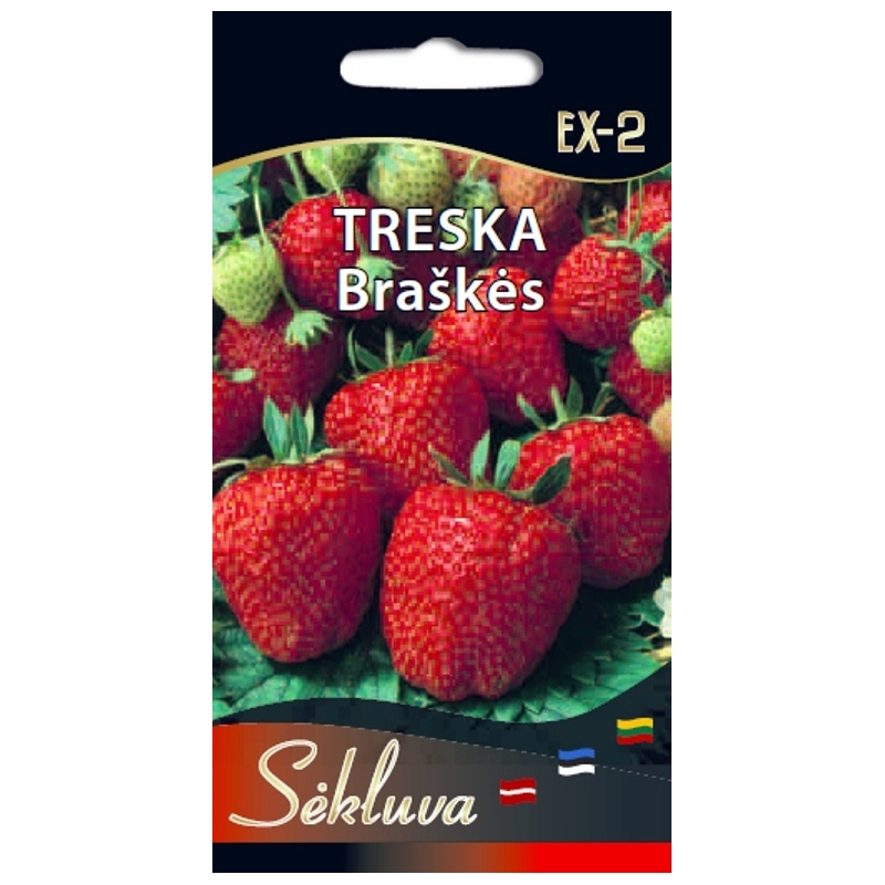 BRAŠKĖS TRESKA 50s BRAŠKĖS TRESKA 50s