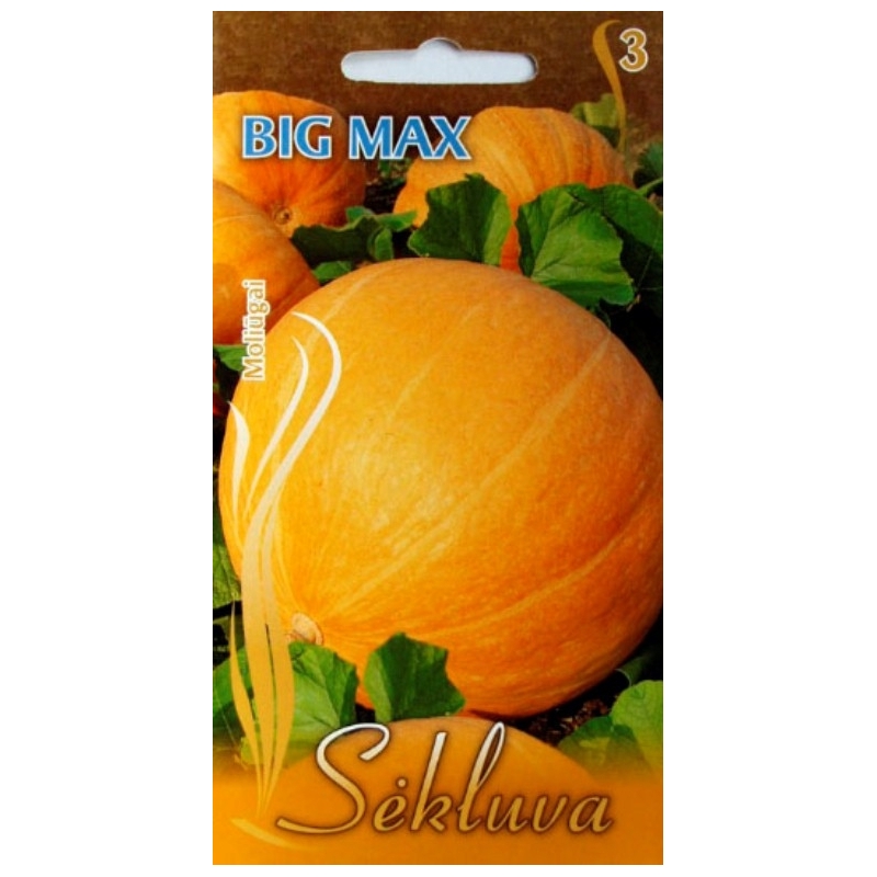 DIDIEJI MOLIŪGAI BIG MAX 2gr. DIDIEJI MOLIŪGAI BIG MAX 2gr.