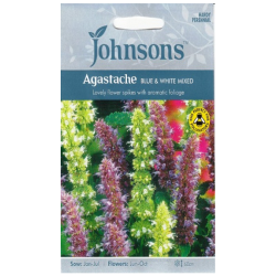 PANKOLINĖ KINMĖTĖ (ANYŽINIS LOFANTAS) 200 sėklų